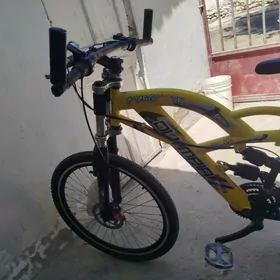 olimpiya 500 lik