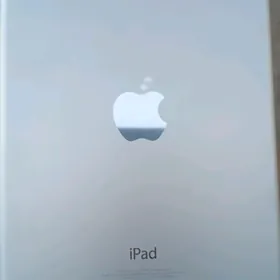 iPad