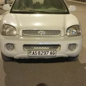 Hyundai Santa Fe 2003