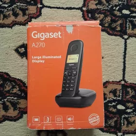 Domaşnyý Telefon