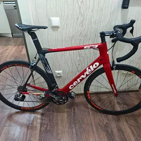 TIGIR CERVELO S3