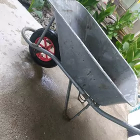 TAÇKA