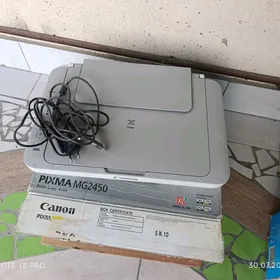 canon MG 2450 pixma