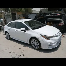 Toyota Corolla 2020
