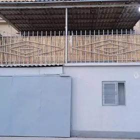 Satlyk jaý Arkom