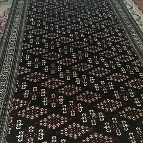 Haly gawsagöl
