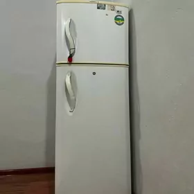 LG holodildik