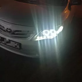 korolla fara
