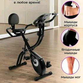 WELO TIGIRLER TAZE
