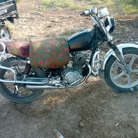 Fekon FK150-8G 2013