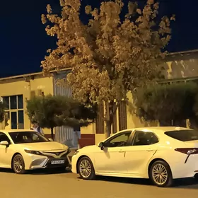Toyota Camry 2019