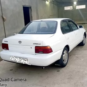 Toyota Corolla 1995