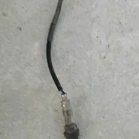 katalizator