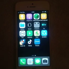 iPhone 5s