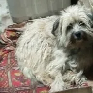 Кудр