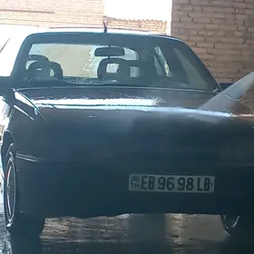 Opel Omega 1991