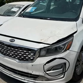 kia sedona kryska