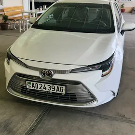 Toyota Corolla 2021