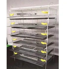 Bedene Ketek Kletka Ýumurtga