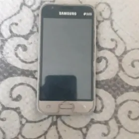 Samsung J1