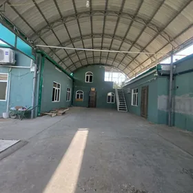 SATLYK JAŸ