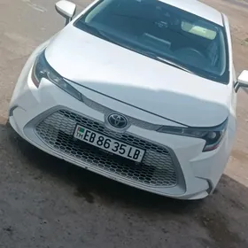 Toyota Corolla 2020