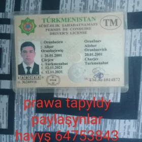 Pyrava tapyldy