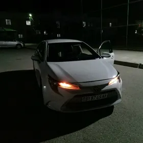 Toyota Corolla 2020