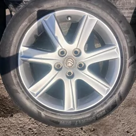 Lexus Radnoy dyaga pakyrysga