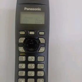 Panasonic