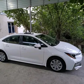 Toyota Corolla 2020