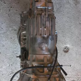 Korobka Mark 2.5 Prastoy