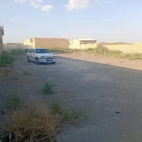 zaton daca