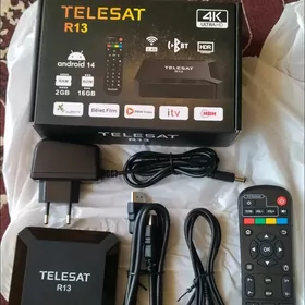 ANDROID TELESAT R13