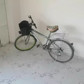 Welsepet 26 lyk