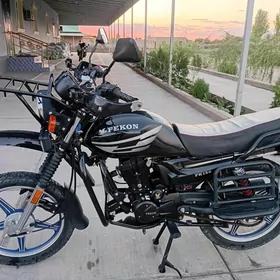 Fekon FK150-8G 2024