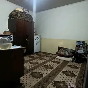 Satlyk daca