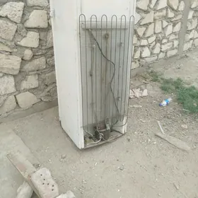 haladenik