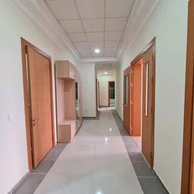 Elitka Aşgabat mol