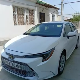 Toyota Corolla 2021
