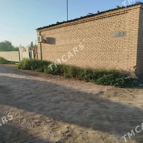 Srocny satlyk daca