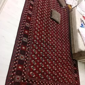 arzan el haly
