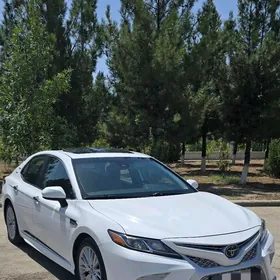 Toyota Camry 2019