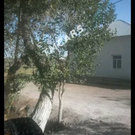 satlyk jay Boldumsaz