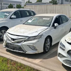 Toyota Camry 2020
