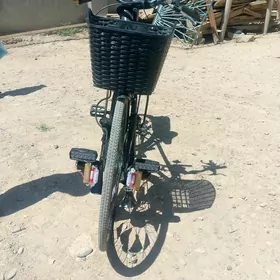 velik 27