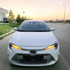 Toyota Corolla 2022