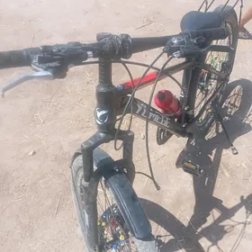 Velsepid  Bembo 26