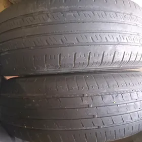 195.65.15.lik bezkamir