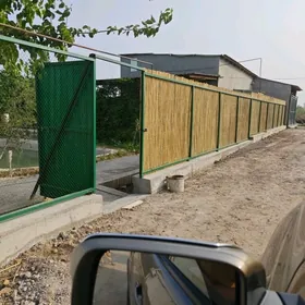 satlyk daca